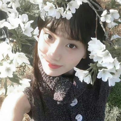 寻找佛罗斯特