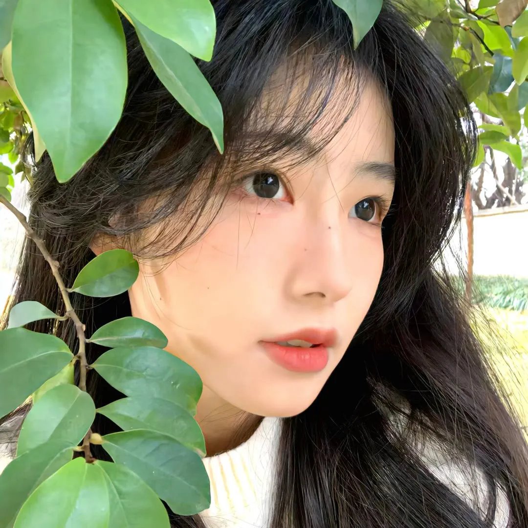绝命杀机