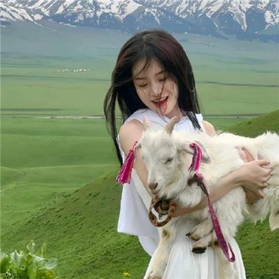 名侦探柯南:零的执行人