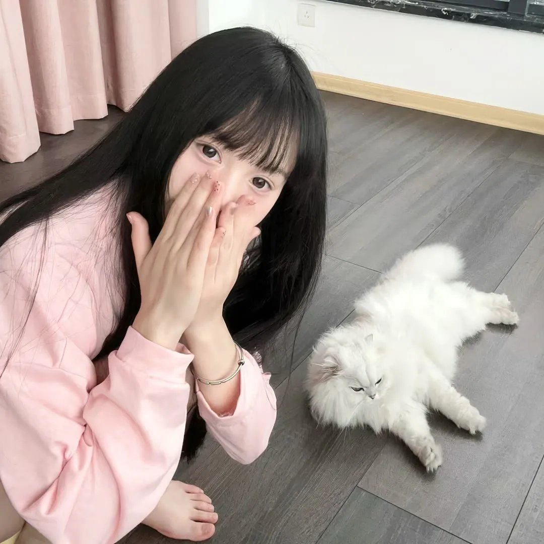狡兔计划